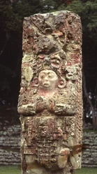 Stèle C, côté ouest, Copan, Période Classique Tardive, 780 AD